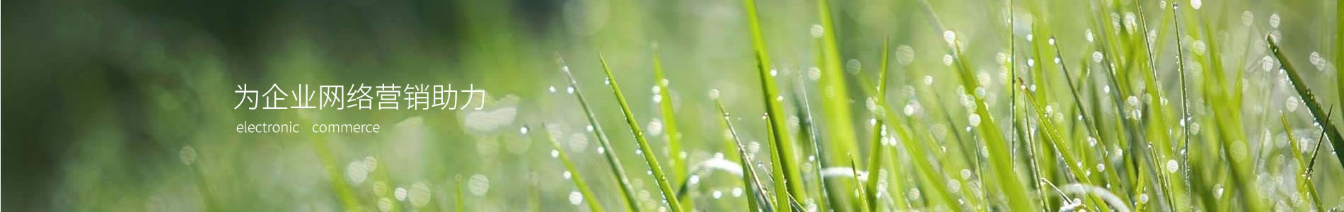 ڻݹó޹˾